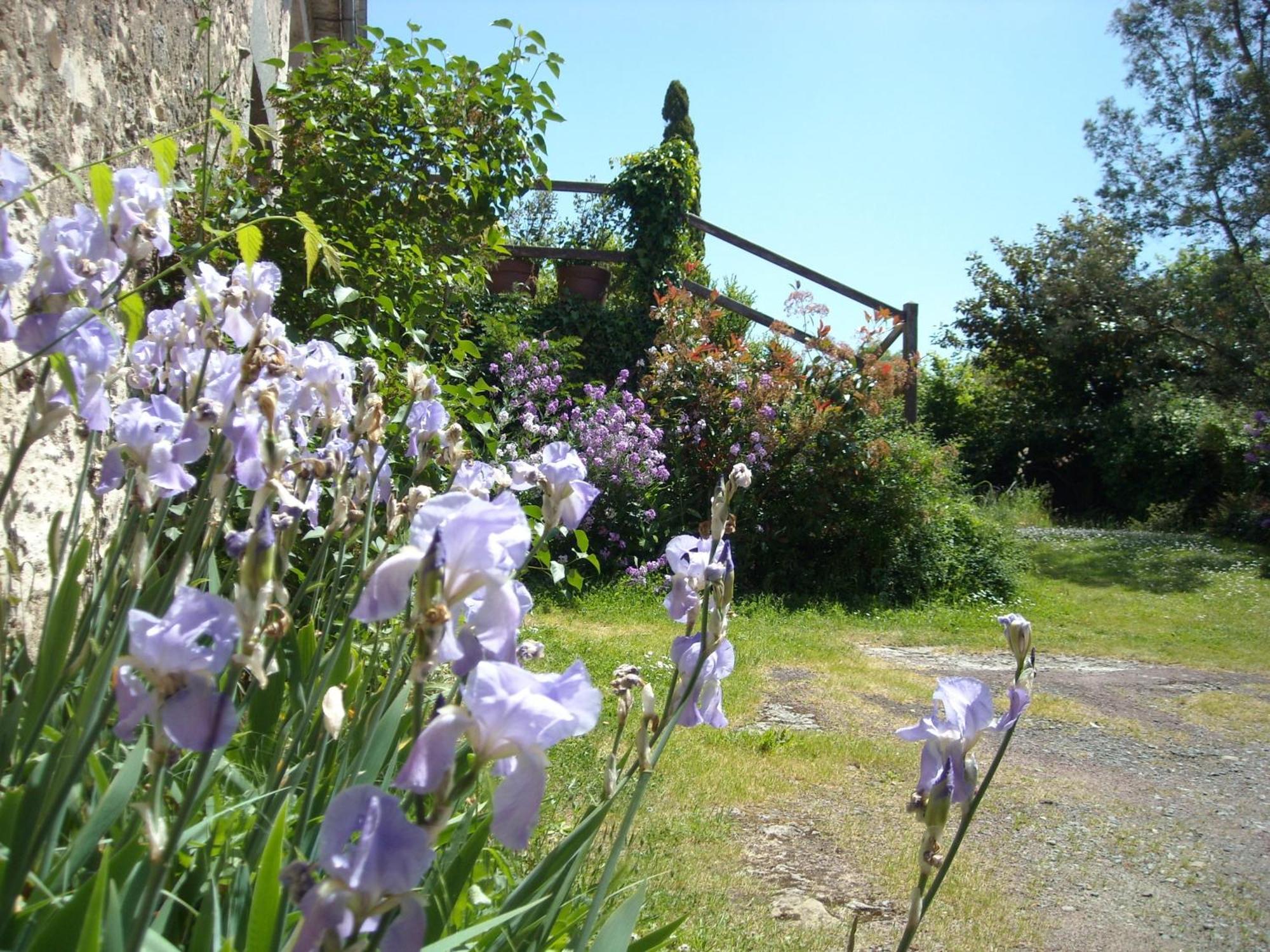 La Tour Des Laudes Bed & Breakfast Breuil-Barret Exterior photo